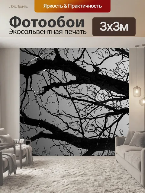 Фотообои черные и белые филиалы