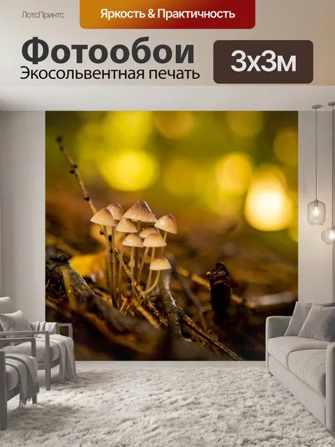 Фотообои Маленькие грибы