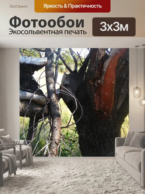 Фотообои свежесобранная ветка с дерева