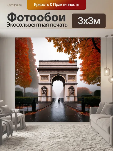 Фотообои историческая арка в париже