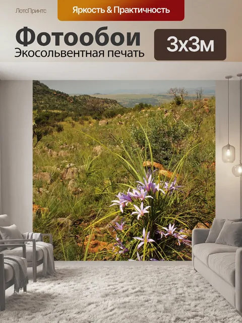 Фотообои розовые цветки черной палочки лилии