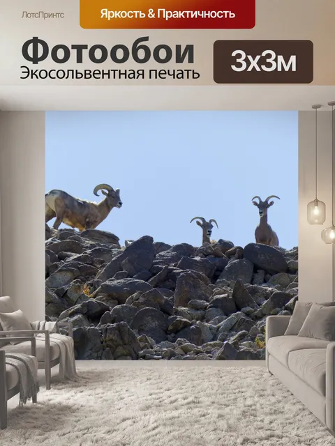 Фотообои Горные козы
