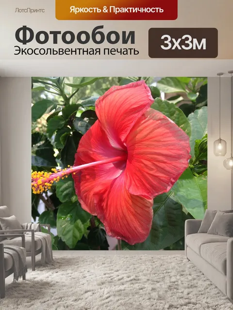 Фотообои Цветок
