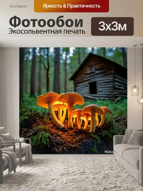 Фотообои грибы лисички, освещенные мягким светом на фоне заброшенной хижины в лесу, создающей атмосферу уюта и тайны