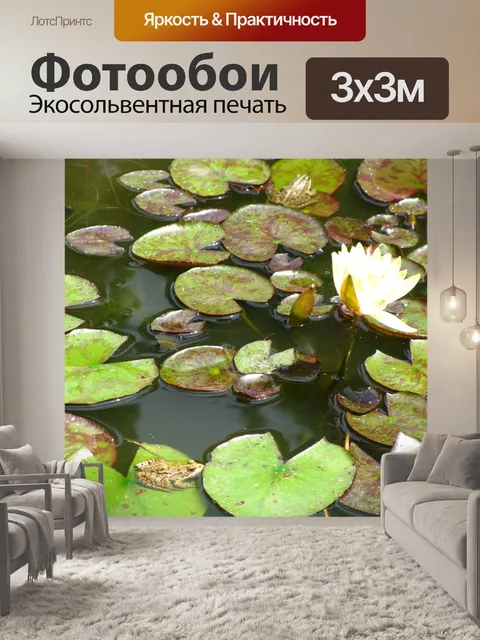 Фотообои Водяная лилия
