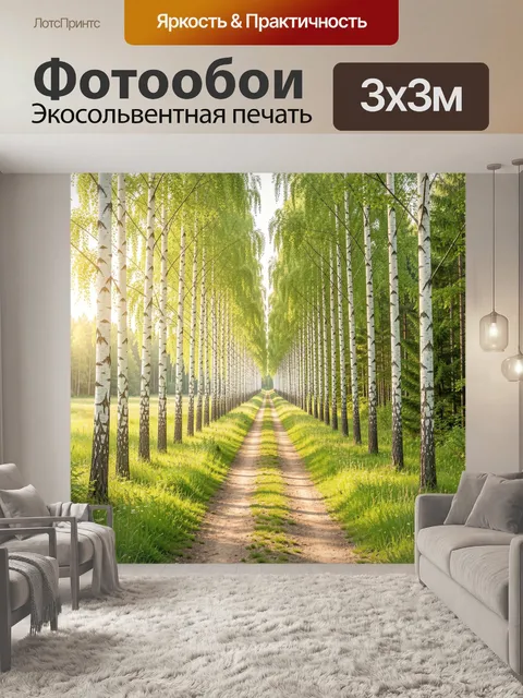 Фотообои Березовая аллея в летнем свете