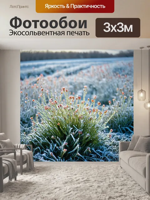 Фотообои вереск в морозном пейзаже, чередование снега и цветочных соцветий создаёт контраст и удивительную красоту