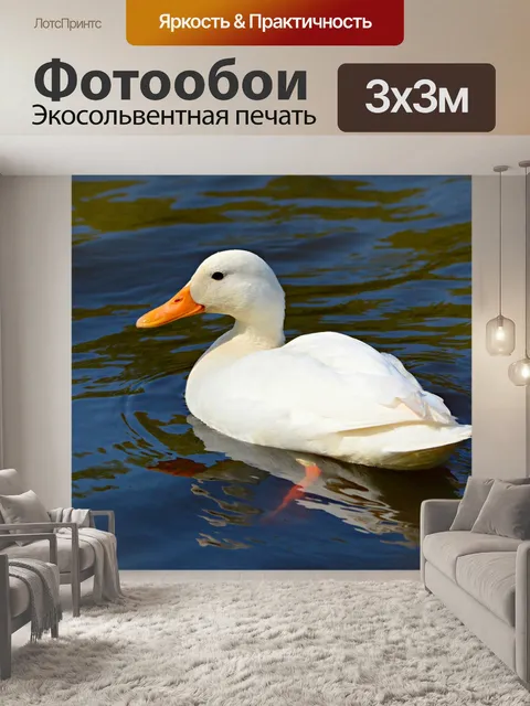 Фотообои Белая утка