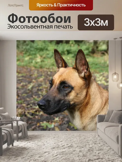Фотообои Малинуа