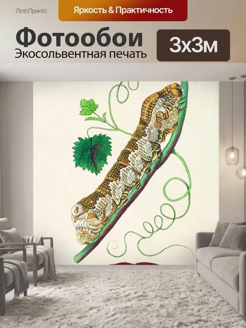 Фотообои Гусеница бабочка искусство винтаж
