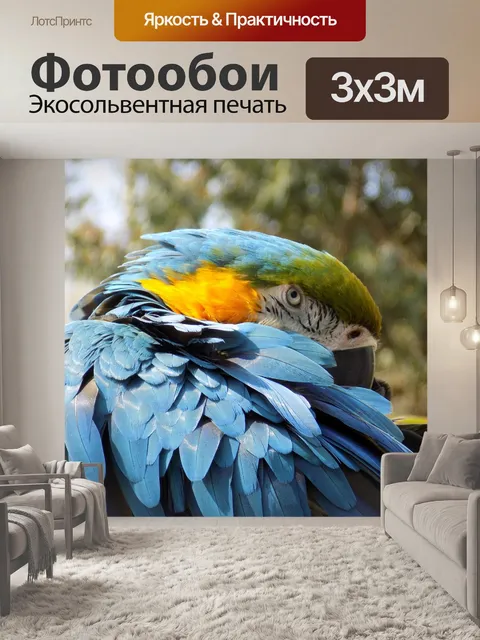 Фотообои Птица