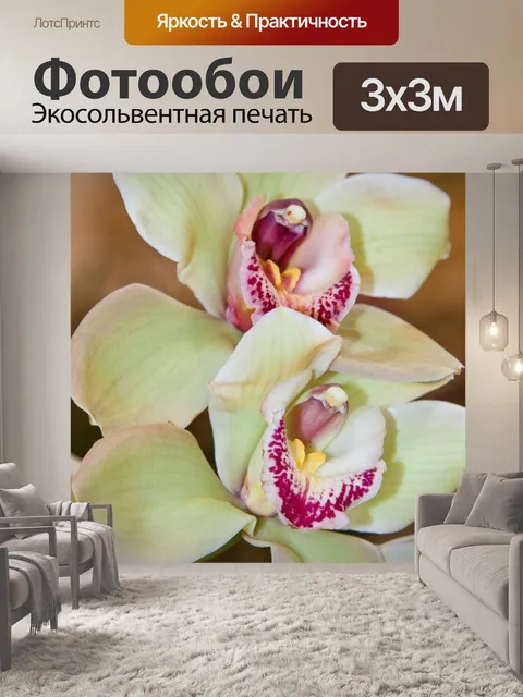 Фотообои Орхидеи