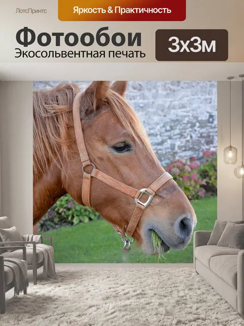 Фотообои Лошадь