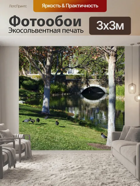Фотообои Мост через канал и лысых птиц
