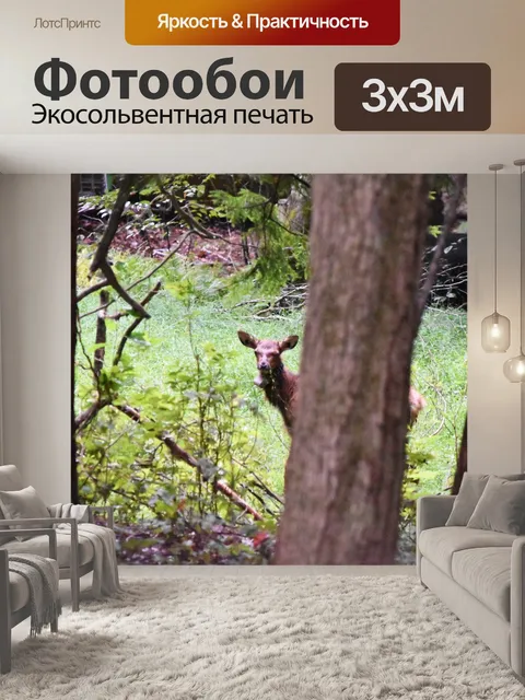 Фотообои Детеныш лося прячется