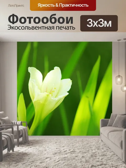 Фотообои белом фоне цветок 2