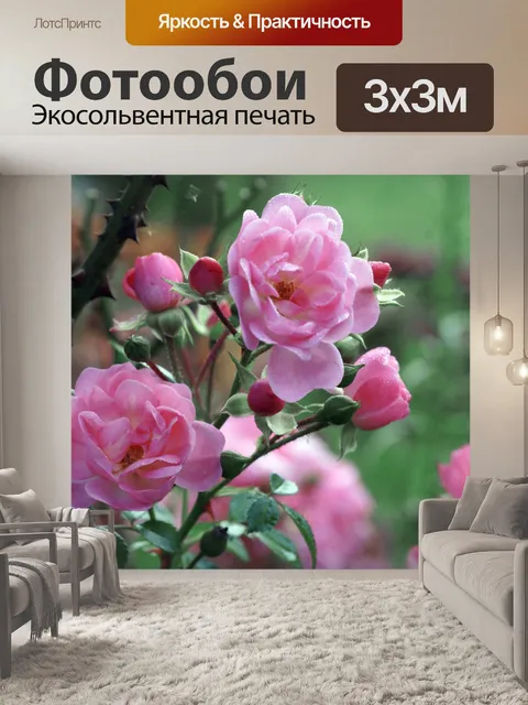 Фотообои Фотография цветка розы