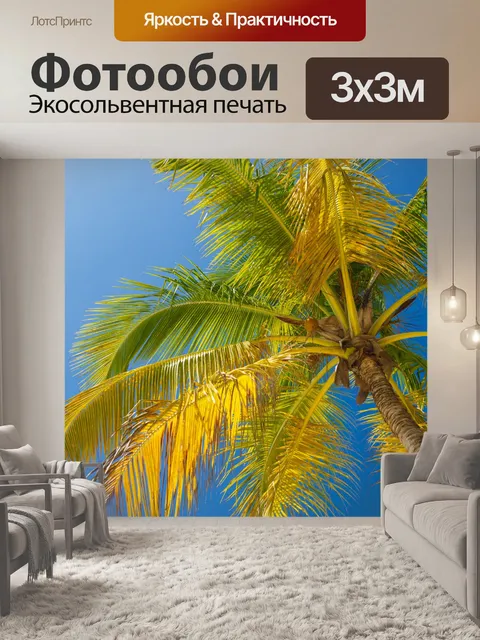Фотообои Пальмы и голубое небо