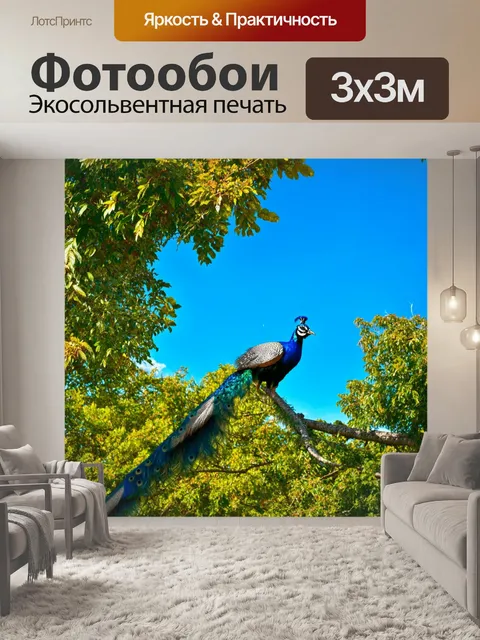 Фотообои с павлинами, сидящими на ветвях раскидистых деревьев под ярким синим небом, их оперение сияет на солнце