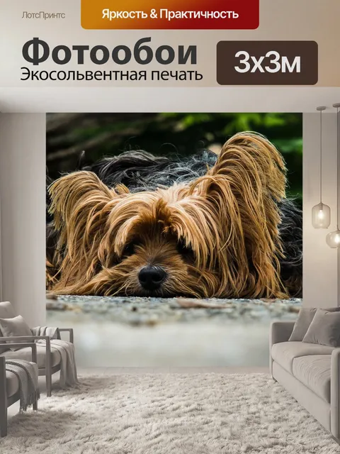Фотообои Собака