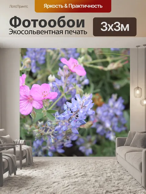 Фотообои Розовые и фиолетовые полевые цветы