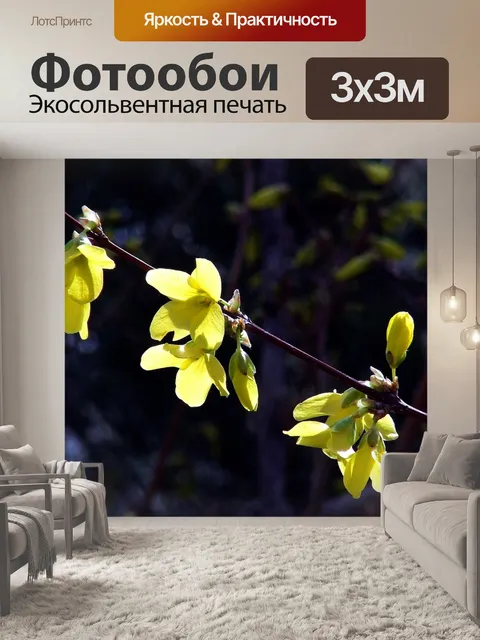 Фотообои Форзиция цветы