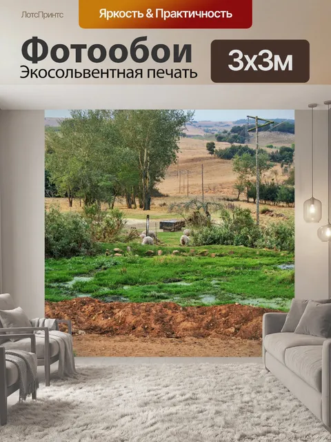 Фотообои луг, поле, пастбище
