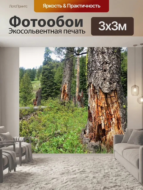 Фотообои Лес