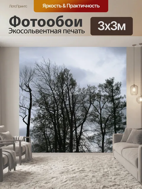 Фотообои скудно одетые деревья и серое небо