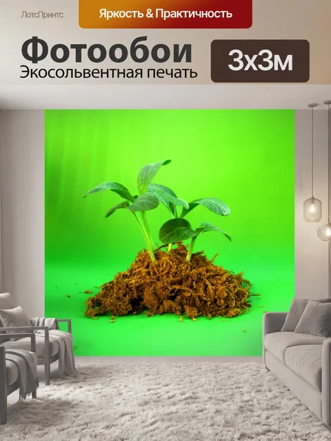 Фотообои Молодое дерево