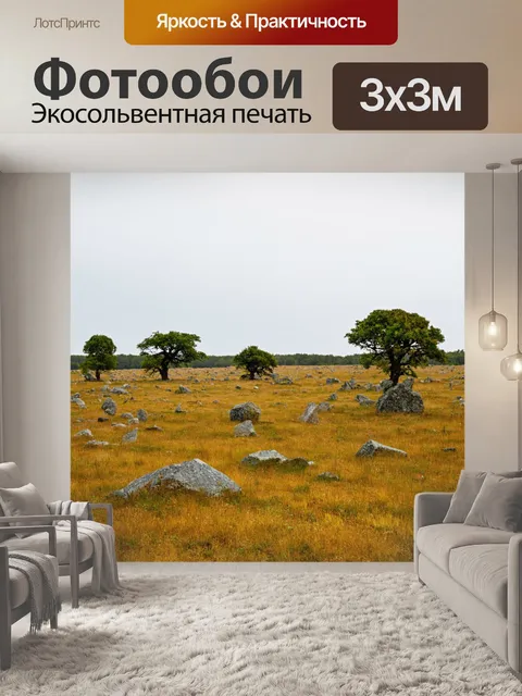 Фотообои поле с разбросанными камнями и редкими деревьями