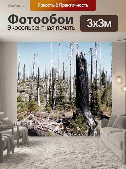 Фотообои Гореть
