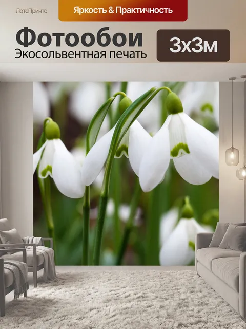 Фотообои подснежники