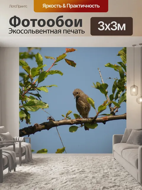 Фотообои Золушка