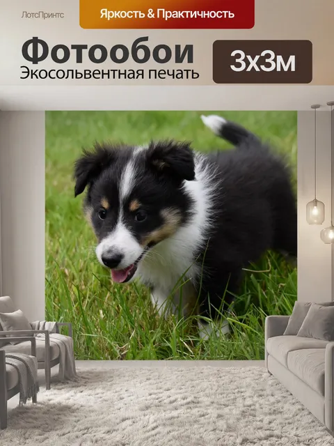 Фотообои Щенок