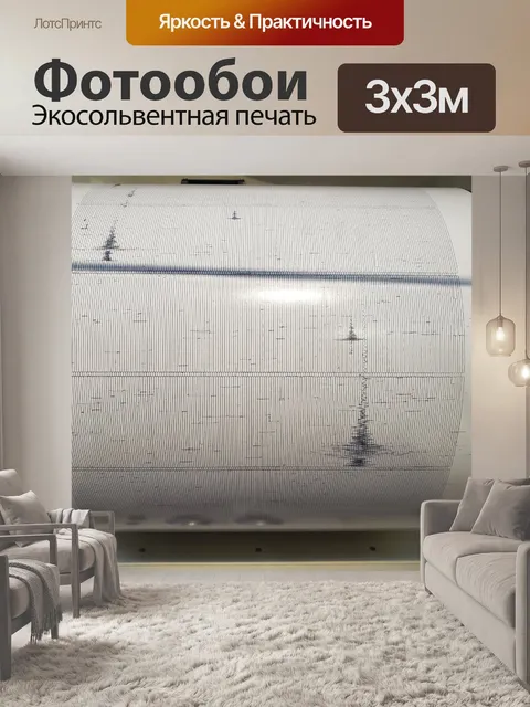 Фотообои Сейсмический график