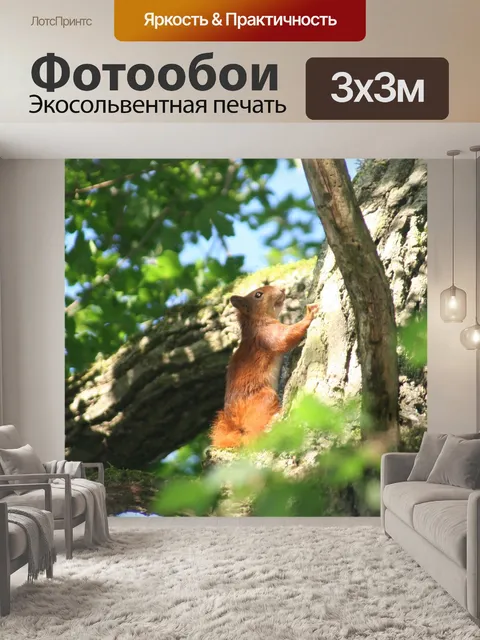 Фотообои Белка