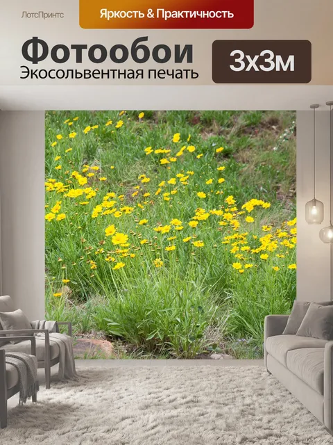 Фотообои желтые цветы клеща