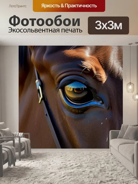 Фотообои с лошадью