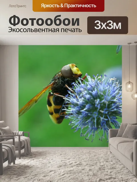 Фотообои Летать в воздухе