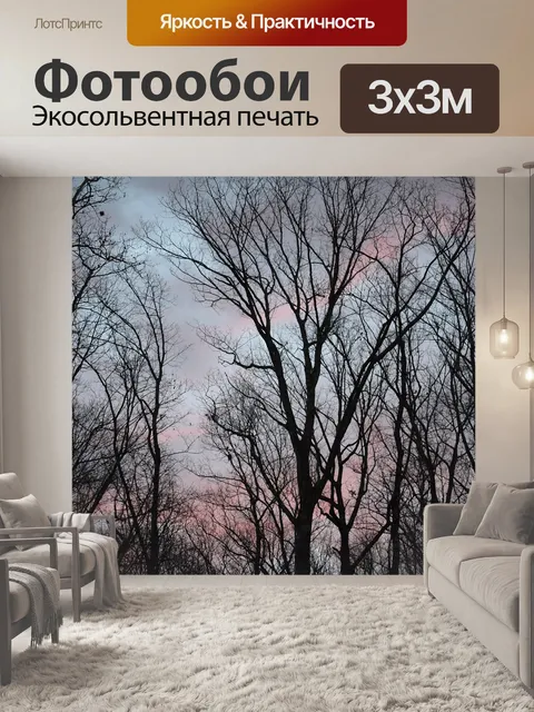 Фотообои Восход солнца облака сквозь деревья