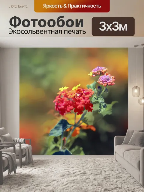 Фотообои Цветок