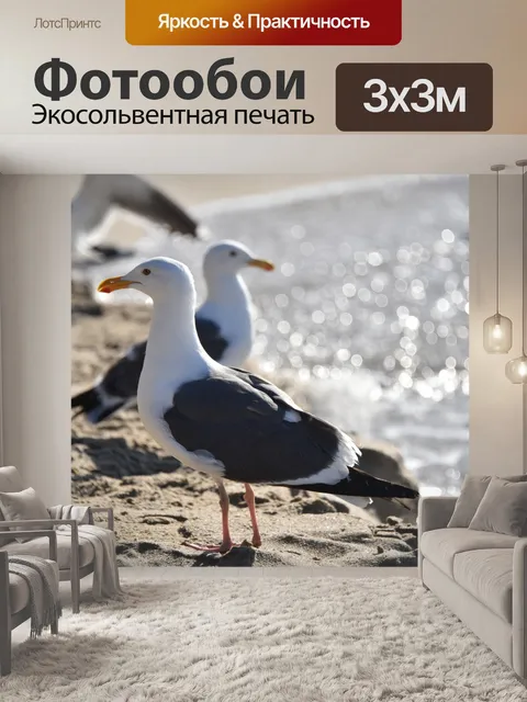 Фотообои Чайка на блефе