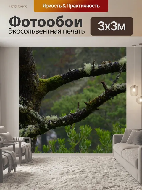 Фотообои Орегон