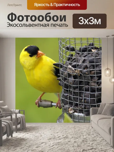 Фотообои Птицы
