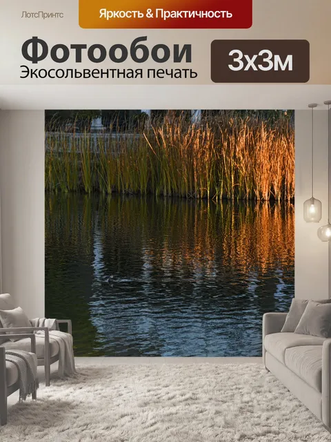 Фотообои Красные Тростник на воде