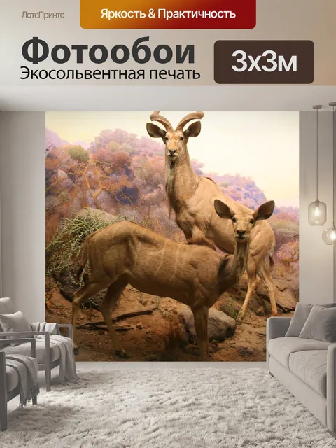 Фотообои Серна