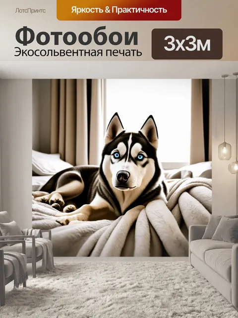 Фотообои Сибирский хаски с выразительными голубыми глазами