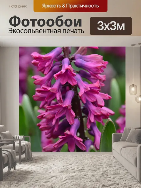 Фотообои Гиацинт