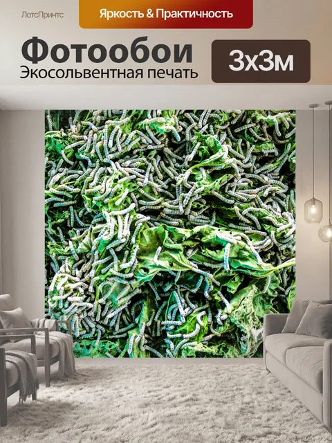 Фотообои Шелкопряд ест листья шелковицы